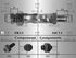 Шланг тормозной передний AR 166